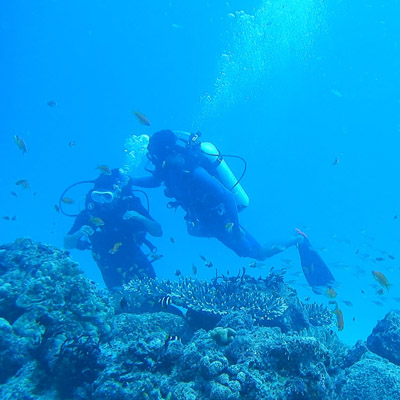 Scuba Dive